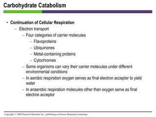 Carbohydrate Catabolism Continuation of Cellular Respiration Electron transport Four categories of carrier molecules Flavoproteins Ubiquinones Metal-containing proteins Cytochromes Some organisms can vary their carrier molecules under different environmental conditions In aerobic respiration oxygen serves as final electron acceptor to yield water In anaerobic respiration molecules other than oxygen serve as final electron acceptor 
