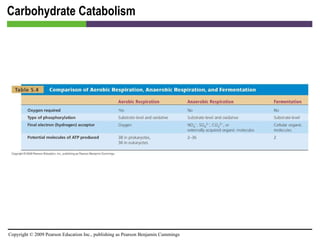 Carbohydrate Catabolism [INSERT TABLE 5.4] 