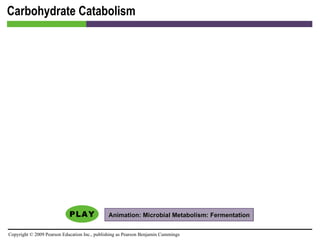 Carbohydrate Catabolism Animation: Microbial Metabolism: Fermentation 