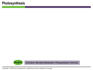 Photosynthesis Animation: Microbial Metabolism: Photosynthesis: Overview  