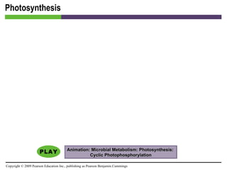 Photosynthesis Animation: Microbial Metabolism: Photosynthesis:  Cyclic Photophosphorylation 