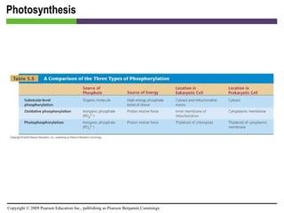 Photosynthesis [INSERT TABLE 5.5] 