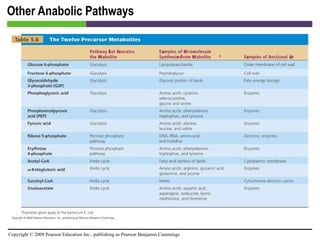 Other Anabolic Pathways [INSERT TABLE 5.6] 