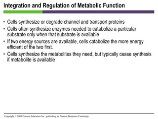 Integration and Regulation of Metabolic Function Cells synthesize or degrade channel and transport proteins Cells often synthesize enzymes needed to catabolize a particular substrate only when that substrate is available If two energy sources are available, cells catabolize the more energy efficient of the two first. Cells synthesize the metabolites they need, but typically cease synthesis if metabolite is available 
