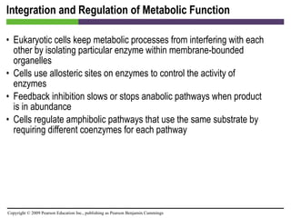 Integration and Regulation of Metabolic Function Eukaryotic cells keep metabolic processes from interfering with each other by isolating particular enzyme within membrane-bounded organelles Cells use allosteric sites on enzymes to control the activity of enzymes Feedback inhibition slows or stops anabolic pathways when product is in abundance Cells regulate amphibolic pathways that use the same substrate by requiring different coenzymes for each pathway 