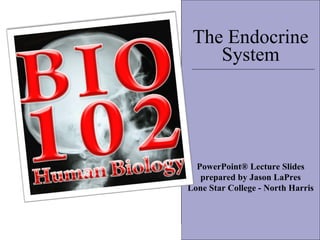 :) The Endocrine System PowerPoint® Lecture Slides prepared by Jason LaPres Lone Star College - North Harris 