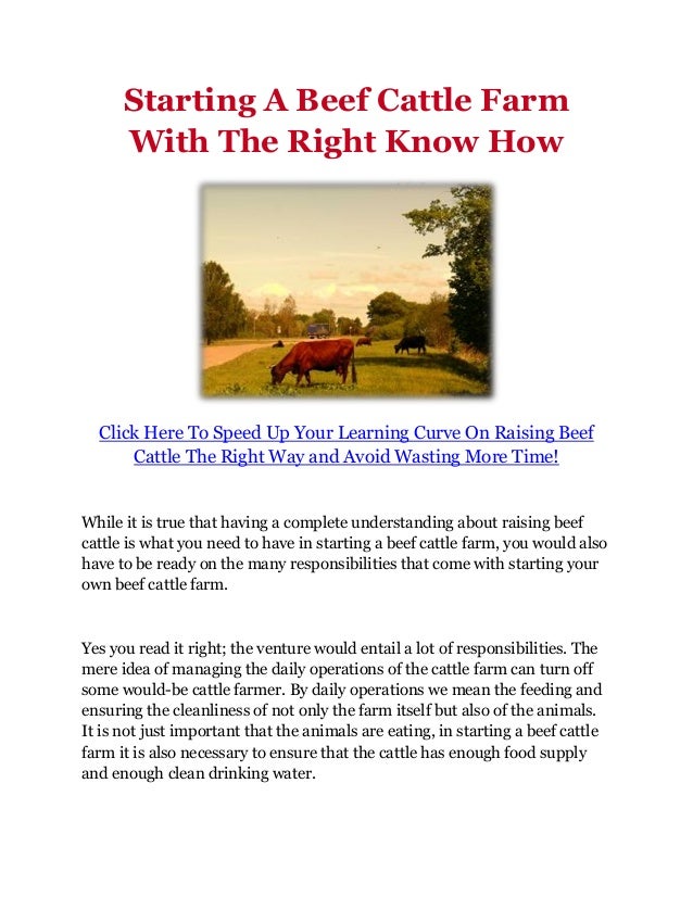 Starting A Beef Cattle Farm With The Right Know How