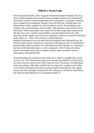Odette s Swan Lake
On the exposed hillsides of the Tsagayan Formation located in Kundur, Russia, a
team of paleontologists discovered an almost complete skeleton of a hadrosaurid
showing an extensive infection spreading into the shoulders, seemingly stemming
from a repaired, but misfigured, fracture in her left front leg. Another piece left
behind shows faintly scarred over skin if looked at closely. Surrounding fossils
include turtles, protoceratops, and crocodiles. This specimen, discovered to be an
Olorotitan, which means giant swan, named so for their longer than normal necks
like that of a swan, would be named Odette, from the ballet Swan Lake. This
discovery of this sample, proved to have a traumatic lifestyle as a juvenile until their
death, allows us... Show more content on Helpwriting.net ...
Instead of retreating to her own herd with her disfigured and still painful leg, she
followed other species of dinosaurs which she could keep up with. A small herd of
protoceratops, goat sized herbivores with beaks and frills, lead her to a clearing in
the forest with small pterosaurs as well as mammals. Full of white and yellow
flowers and modern trees such as maples, beeches, oaks, and others such as
metasequoia with gnarled bark.
Notwithstanding how peaceful recent weeks were, Odette s youthful days would
soon be over. The inflammation, pain, and a recently developed fever had slowed
her down from the typical style of life made for travel. Previously, she had halted
many times before, albeit this would be her last stop at the swamps as she rolled
over onto the firm bank of the pond, crushing much life beneath her. She sighed
heavily, the life seemingly escaping from her, rolling over for the last time before
she made her final departure into a permanent realm of
 