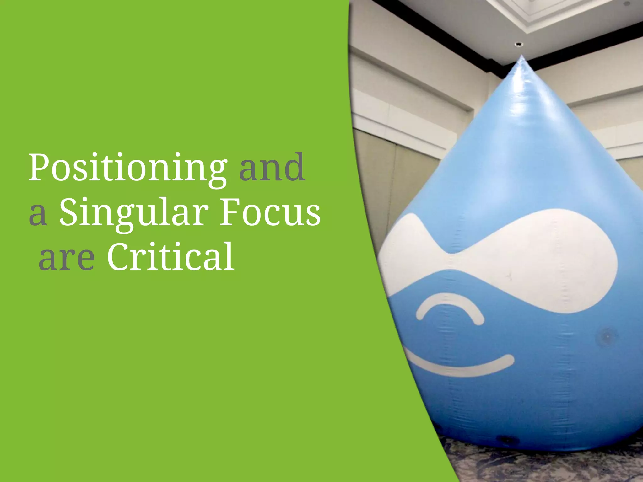 Positioning and 
a Singular Focus 
are Critical 
 