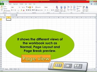 It shows the different views of 
the workbook such as 
Normal, Page Layout and 
Page Break preview. 
 