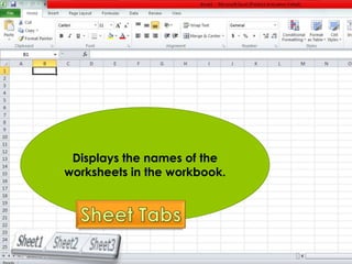 Displays the names of the 
worksheets in the workbook. 
 