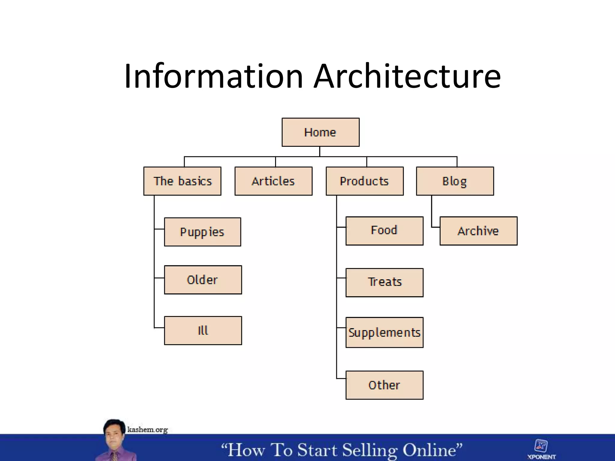 Information Architecture
 