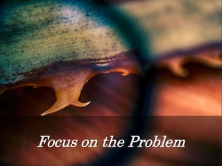 Focus on the Problem
 