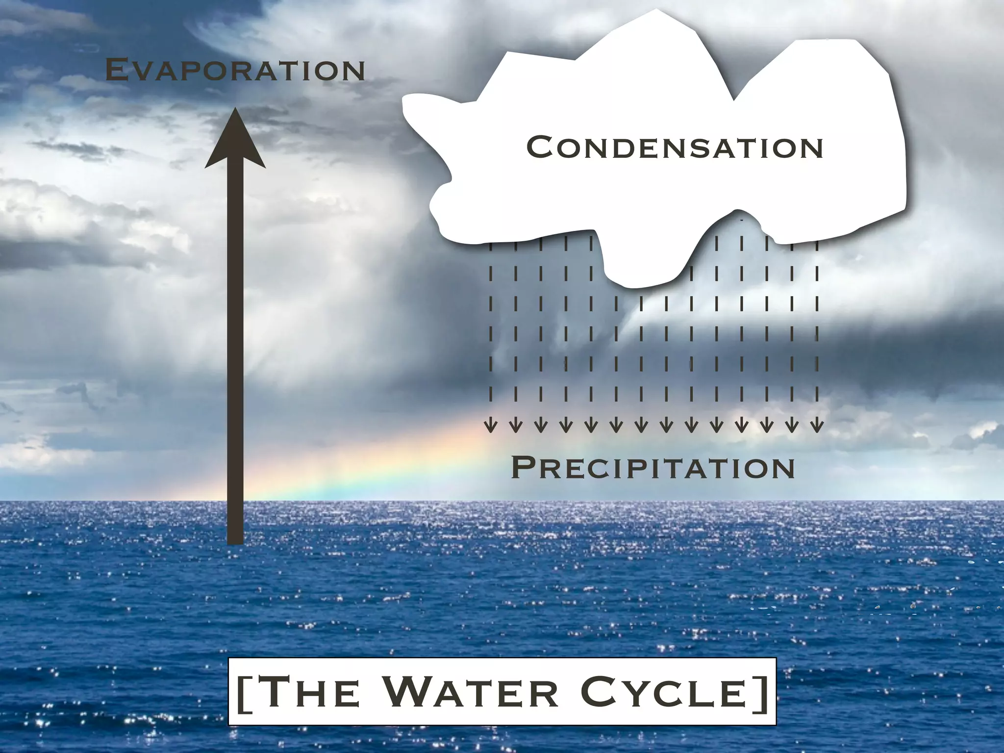 Evaporation
              Condensation




              Precipitation




     [The Water Cycle]
 