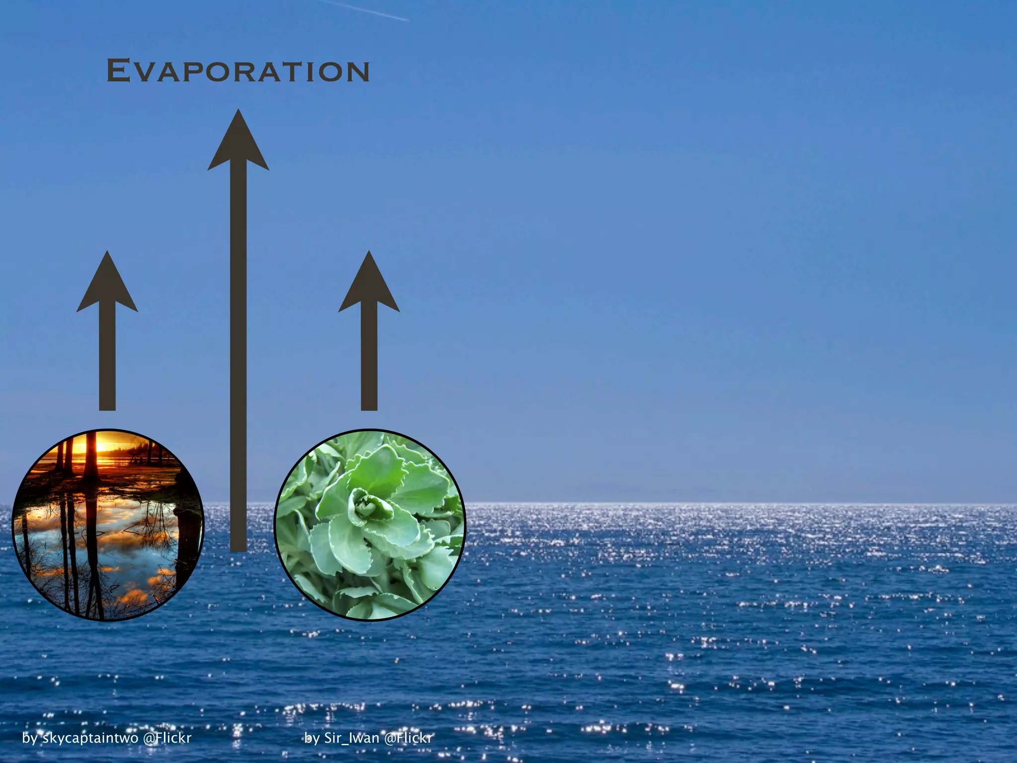 Evaporation




by skycaptaintwo @Flickr   by Sir_Iwan @Flickr
 