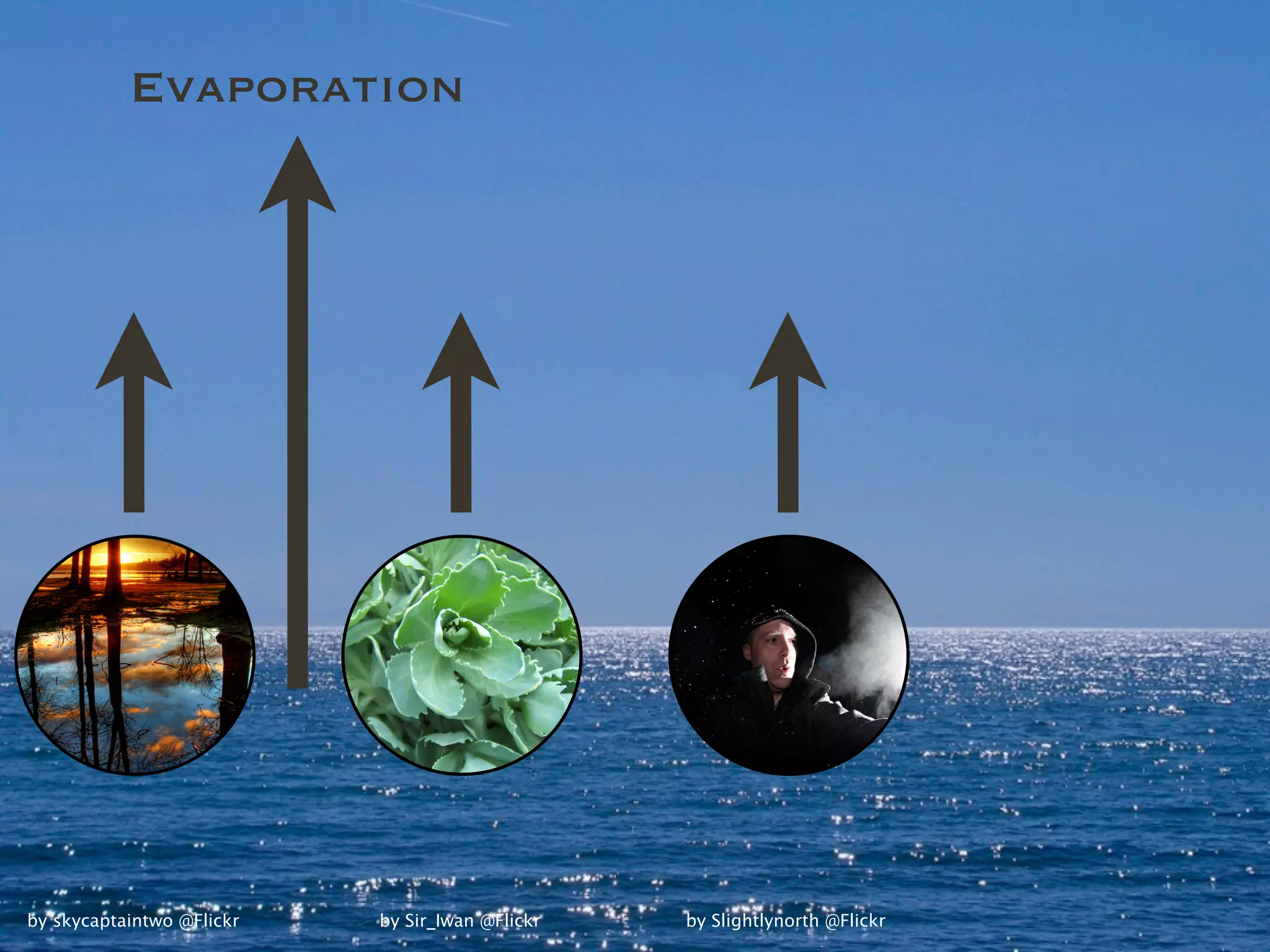 Evaporation




by skycaptaintwo @Flickr   by Sir_Iwan @Flickr   by Slightlynorth @Flickr
 