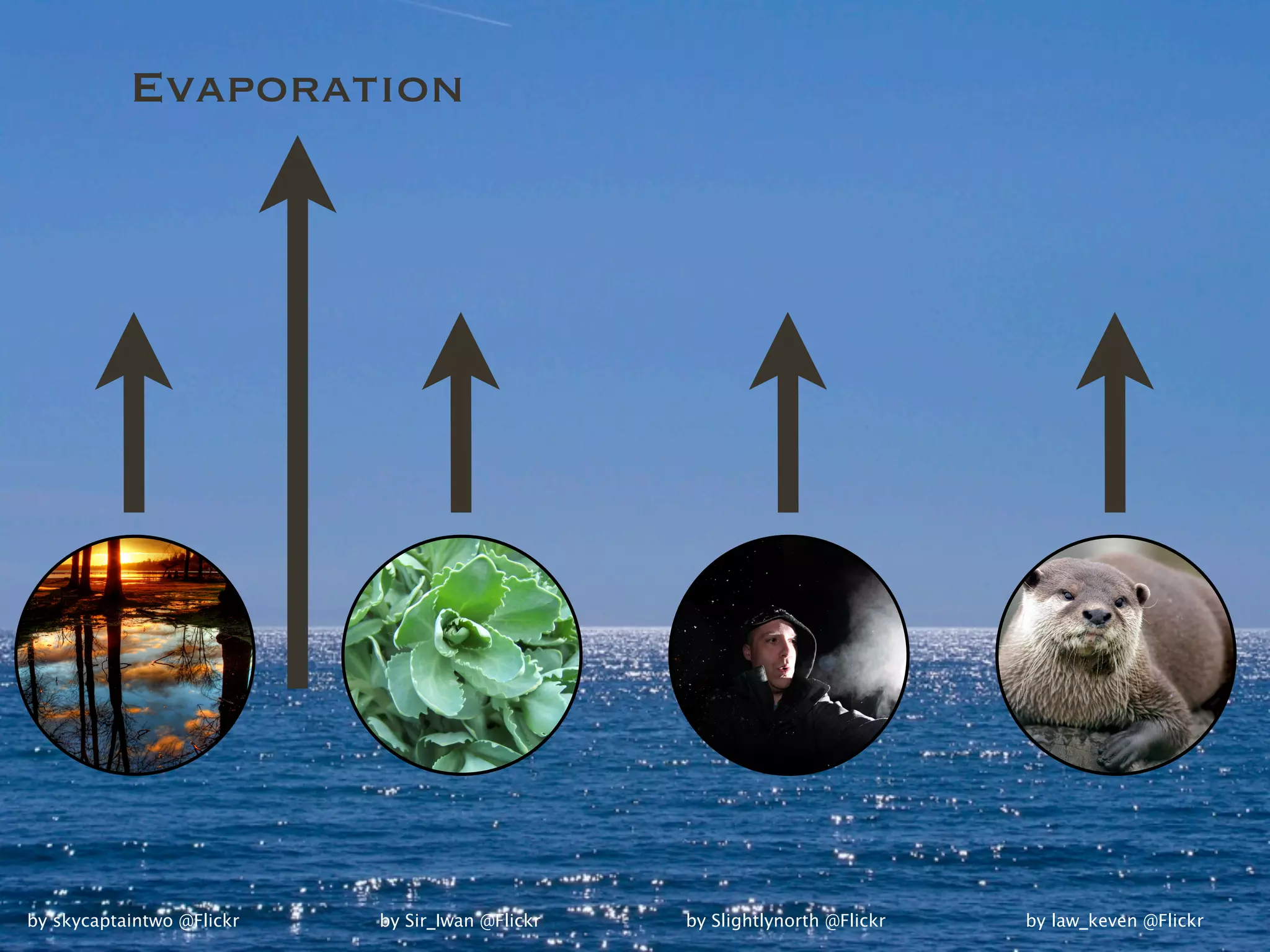 Evaporation




by skycaptaintwo @Flickr   by Sir_Iwan @Flickr   by Slightlynorth @Flickr   by law_keven @Flickr
 