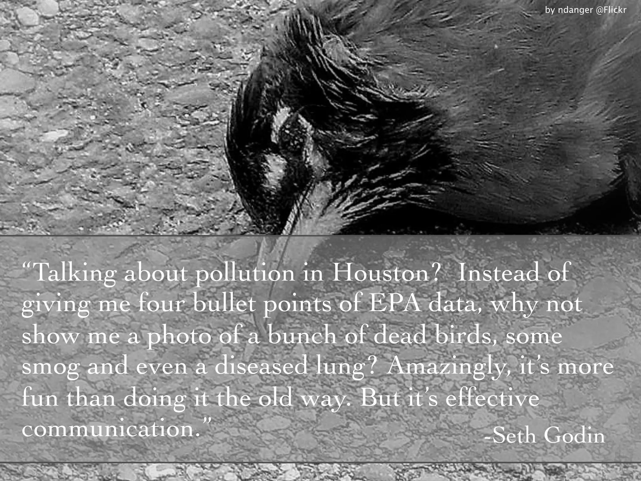 by ndanger @Flickr




“Talking about pollution in Houston? Instead of
giving me four bullet points of EPA data, why not
show me a photo of a bunch of dead birds, some
smog and even a diseased lung? Amazingly, it’s more
fun than doing it the old way. But it’s effective
communication.”                             -Seth Godin
 