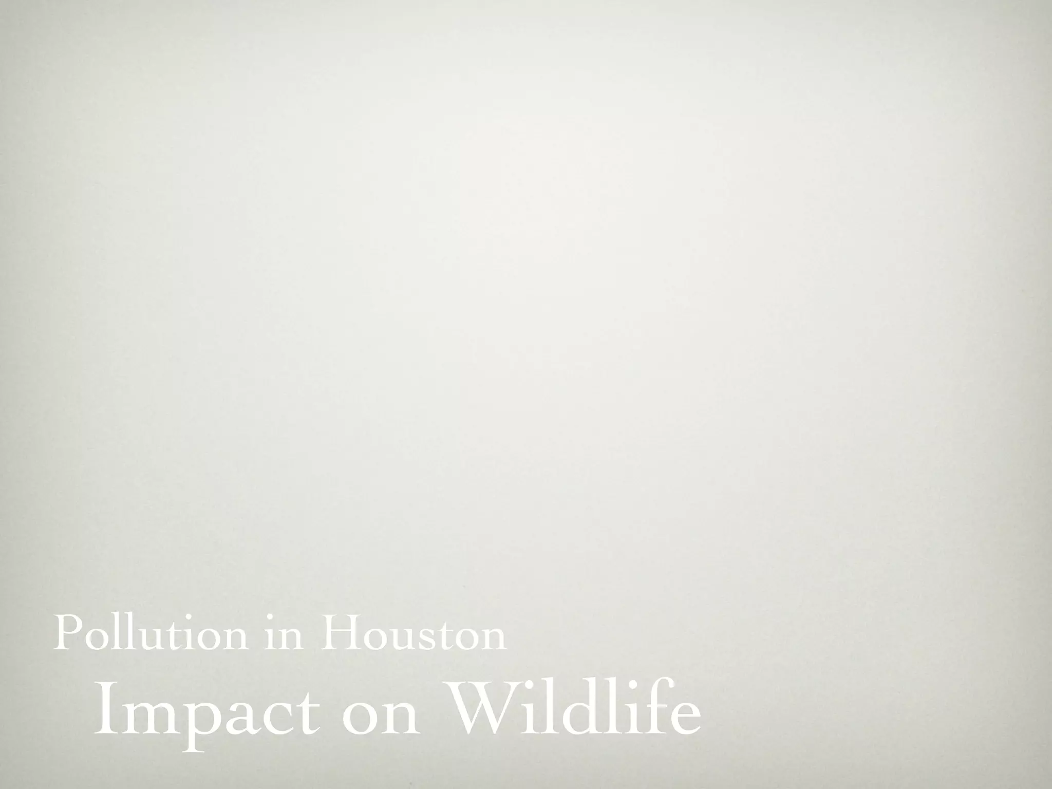 Pollution in Houston
 Impact on Wildlife
 