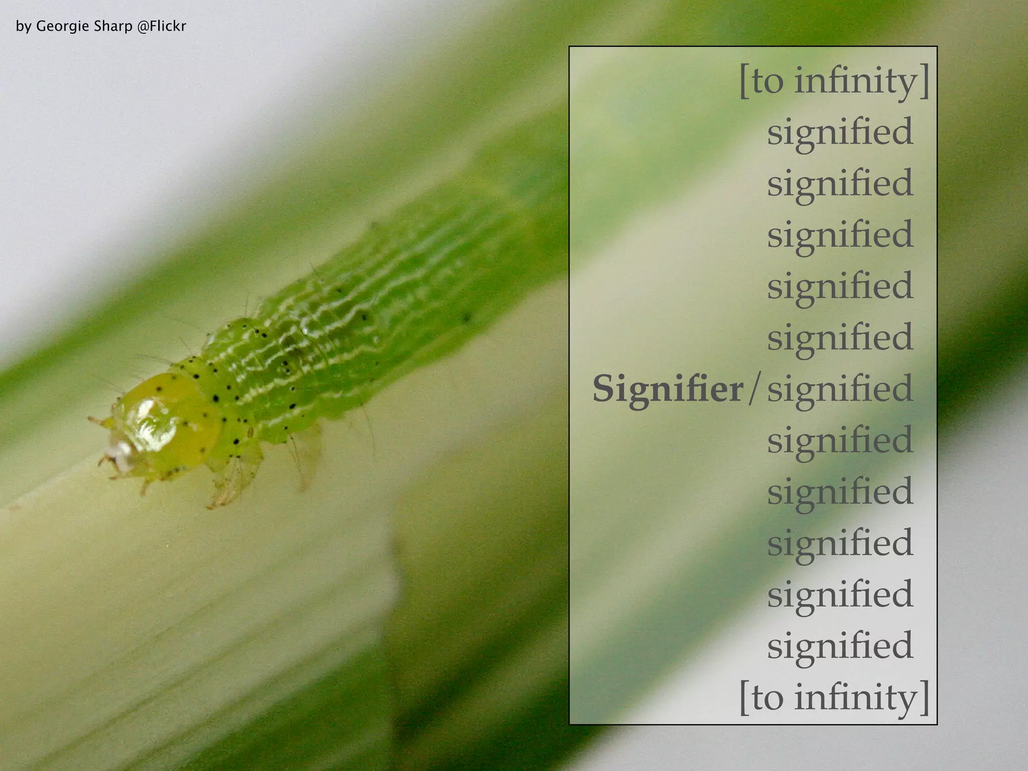 by Georgie Sharp @Flickr



                           signiﬁer/[to inﬁnity]
                            Signiﬁer/signiﬁed
                            Signiﬁer/signiﬁed
                            Signiﬁer/signiﬁed
                            Signiﬁer/signiﬁed
                            Signiﬁer/signiﬁed
                            Signiﬁer/signiﬁed
                            Signiﬁer/signiﬁed
                            Signiﬁer/signiﬁed
                            Signiﬁer/signiﬁed
                            Signiﬁer/signiﬁed
                            Signiﬁer/signiﬁed
                           signiﬁer/[to inﬁnity]
 