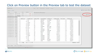 Click on Preview button in the Preview tab to test the dataset
 