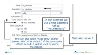 Test and save it.One can also select “Read Only” and/or
deselect the “Write default”: if the datasource
is Write-default, it will be used by cache
mechanism
In our example we
use a test database
called
“my_database”
 