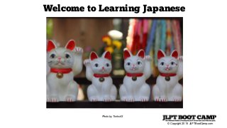 © Copyright 2015 JLPTBootCamp.com
Welcome to Learning Japanese
Photo by Tonko43
 