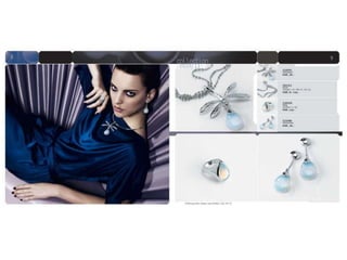 Pierre Lang AccessoiresZusätzlich ab 01.11.2010