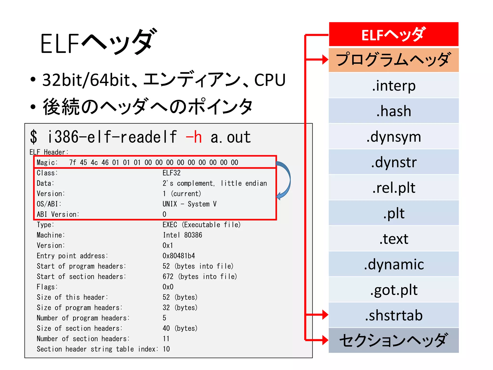 ELFヘッダ
プログラムヘッダ
.interp
.hash
.dynsym
.dynstr
.rel.plt
.plt
.text
.dynamic
.got.plt
.shstrtab
セクションヘッダ
ELFヘッダ
• 32bit/64bit、エンディアン、CPU
• 後続のヘッダへのポインタ
$ i386-elf-readelf -h a.out
ELF Header:
Magic: 7f 45 4c 46 01 01 01 00 00 00 00 00 00 00 00 00
Class: ELF32
Data: 2's complement, little endian
Version: 1 (current)
OS/ABI: UNIX - System V
ABI Version: 0
Type: EXEC (Executable file)
Machine: Intel 80386
Version: 0x1
Entry point address: 0x80481b4
Start of program headers: 52 (bytes into file)
Start of section headers: 672 (bytes into file)
Flags: 0x0
Size of this header: 52 (bytes)
Size of program headers: 32 (bytes)
Number of program headers: 5
Size of section headers: 40 (bytes)
Number of section headers: 11
Section header string table index: 10
 