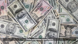 Toda empresa quer lucro
 