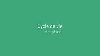 Cycle de vie
2ère phase
 