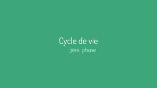 Cycle de vie
3ère phase
 