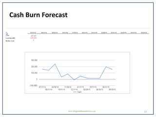 Cash Burn Forecast
15www.earlygrowthfinancialservices.com
 