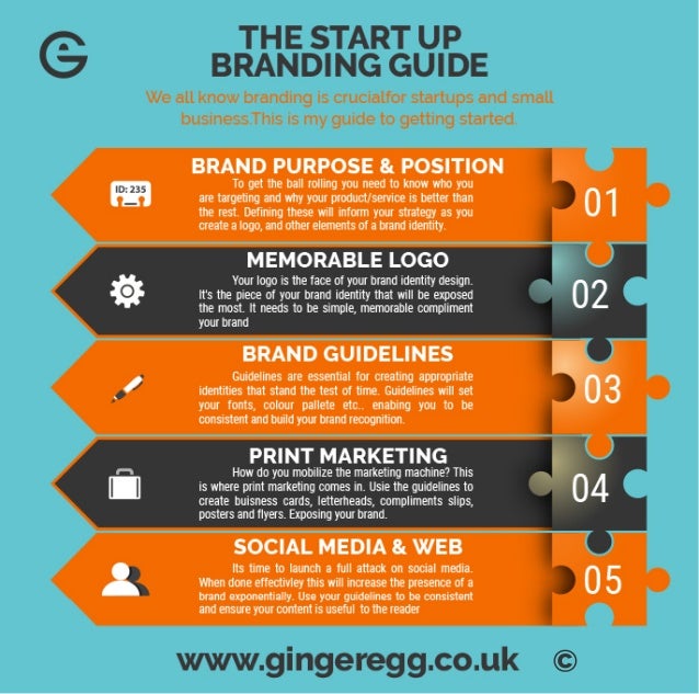 Startup branding infographic