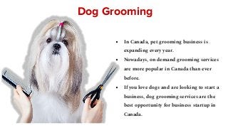 Dog Grooming
● In Canada, pet grooming business is
expanding every year.
● Nowadays, on demand grooming services
are more popular in Canada than ever
before.
● If you love dogs and are looking to start a
business, dog grooming services are the
best opportunity for business startup in
Canada.
 