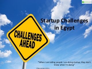 Startup Challenges
in Egypt
“When I am telling people I am doing startup, they don’t
know what i’m doing”
©Businessyard 2013
1
 