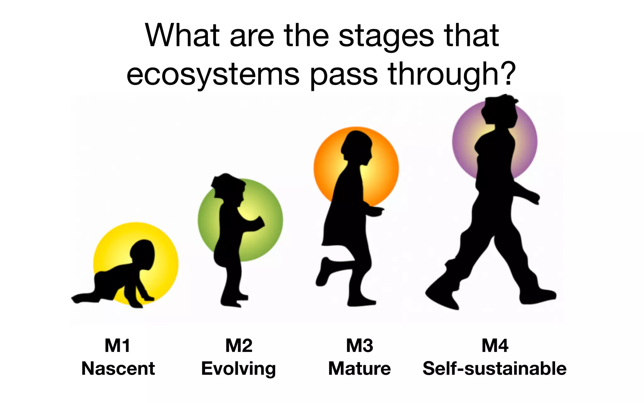 What are the stages that
ecosystems pass through?
M1
Nascent
M2
Evolving
M3
Mature
M4
Self-sustainable
 