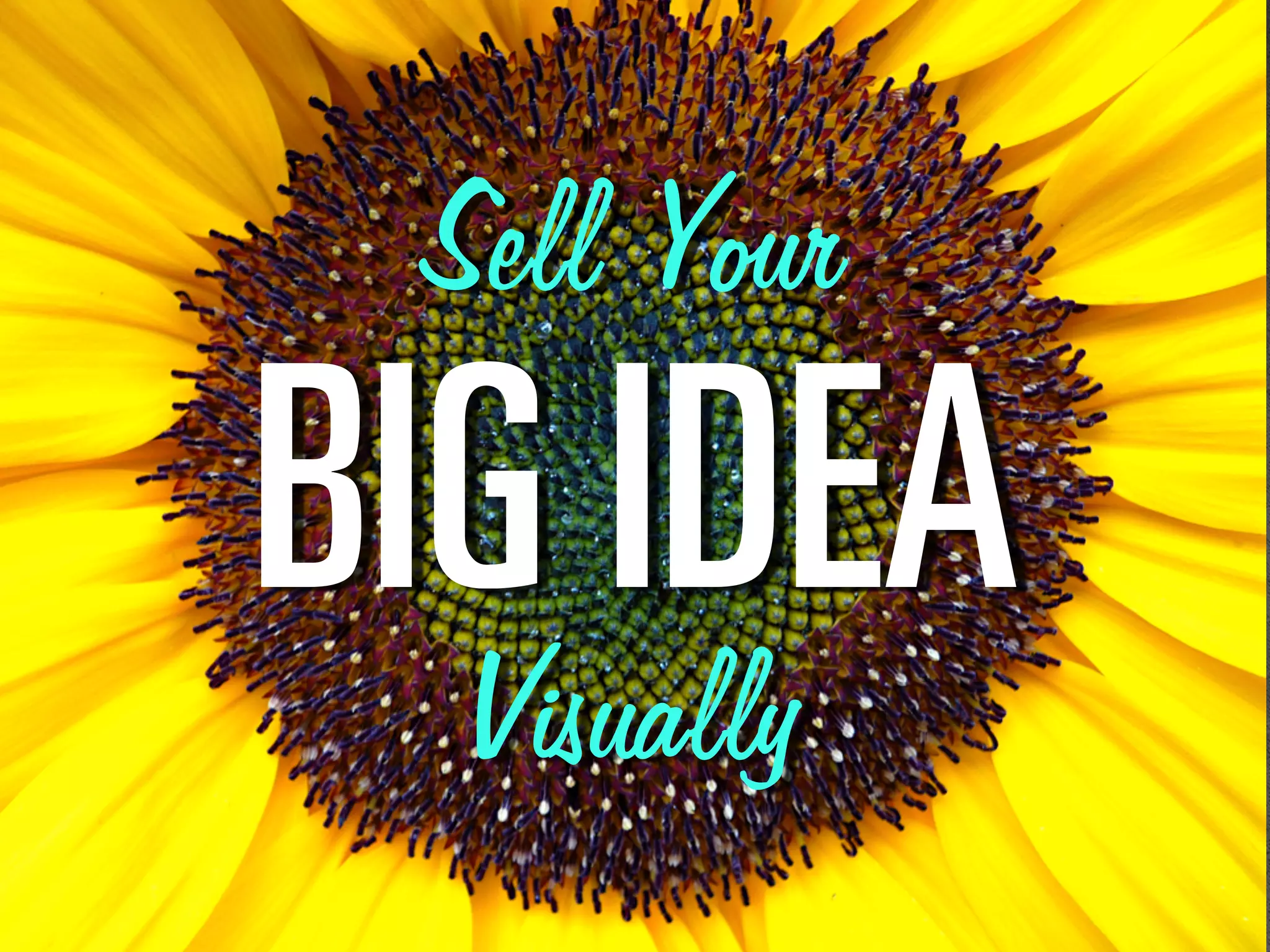 Sell Your
_fd=fab^
Visually
 