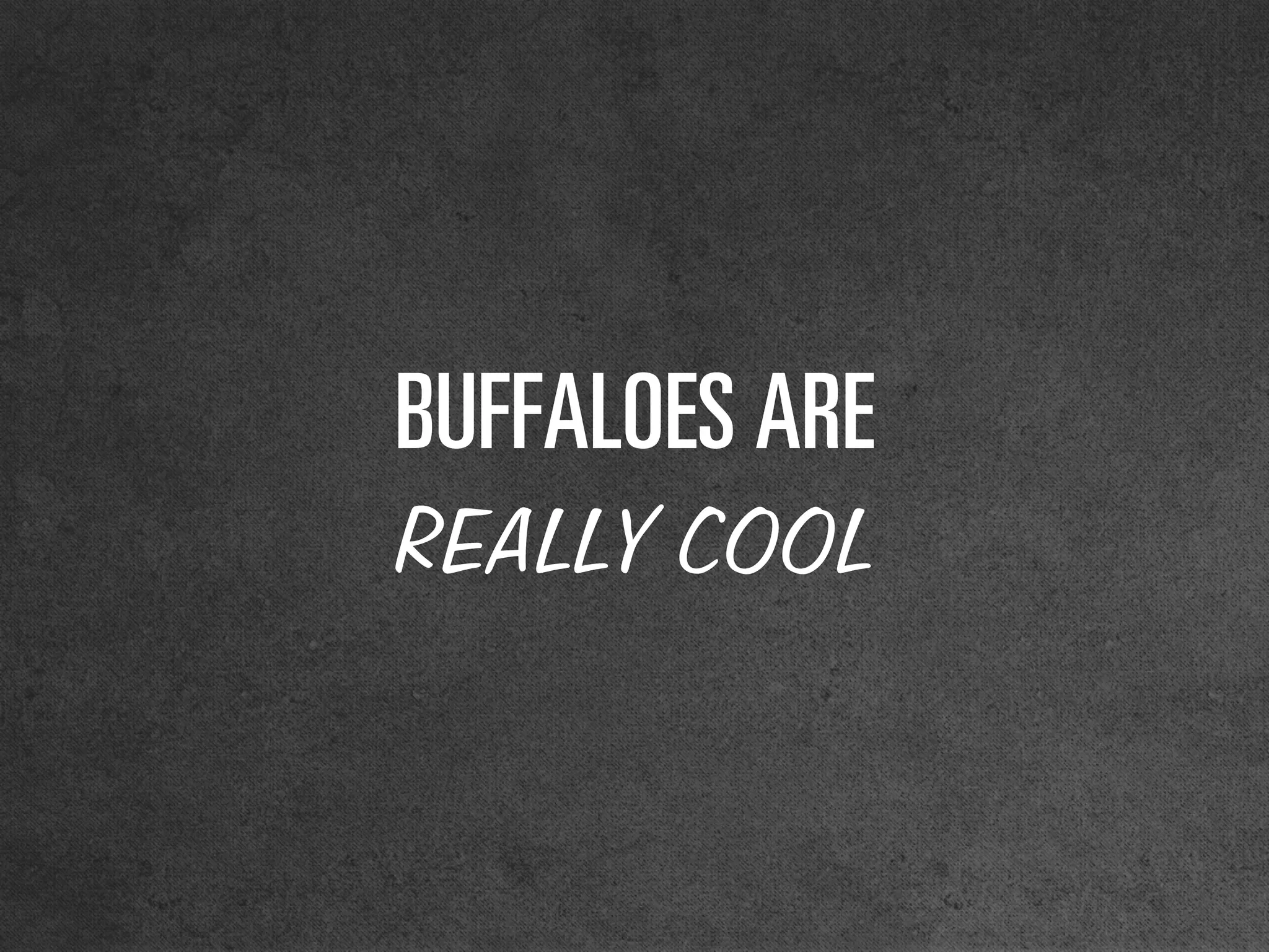 _rcc^ilbp=^ob=
REALLY COOL
 