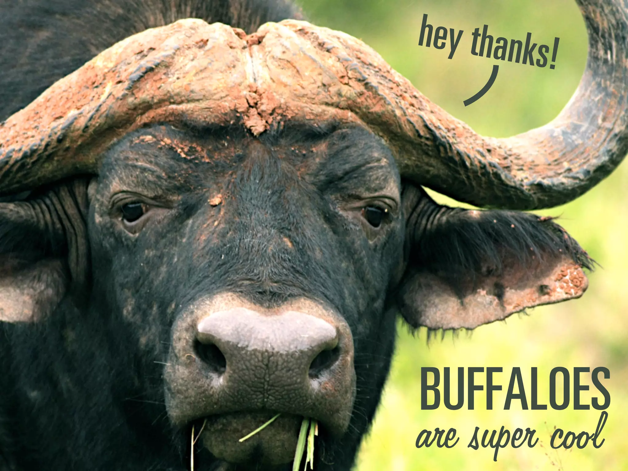 _rcc^ilbp
are super cool
ÜÉó=íÜ~åâë>
 