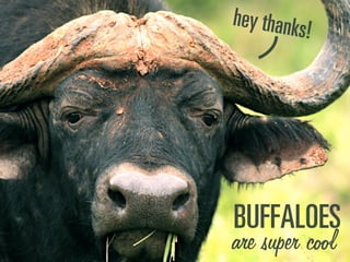 _rcc^ilbp
are super cool
ÜÉó=íÜ~åâë>
 