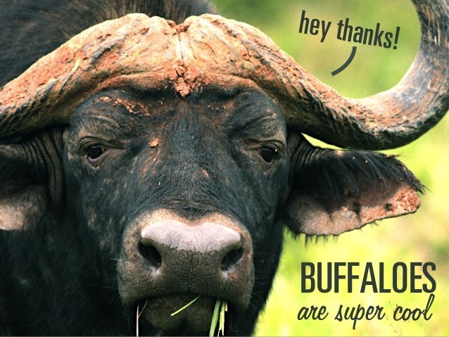 _rcc^ilbp
are super cool
ÜÉó=íÜ~åâë>
 