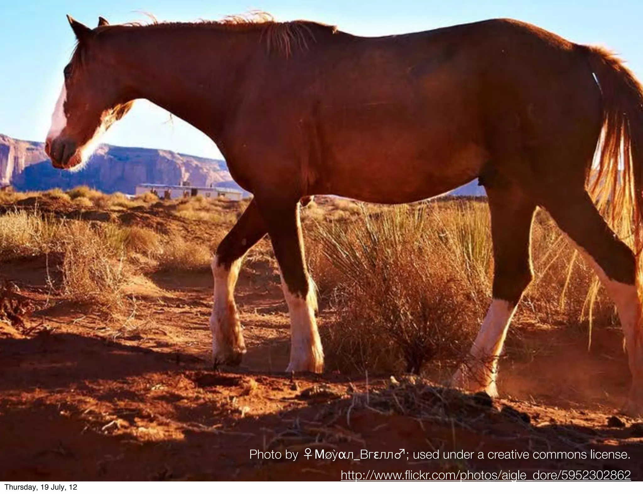 Photo by ♀Μøỳαл_Bгεлл♂; used under a creative commons license.
                                      http://www.ﬂickr.com/photos/aigle_dore/5952302862
Thursday, 19 July, 12
 