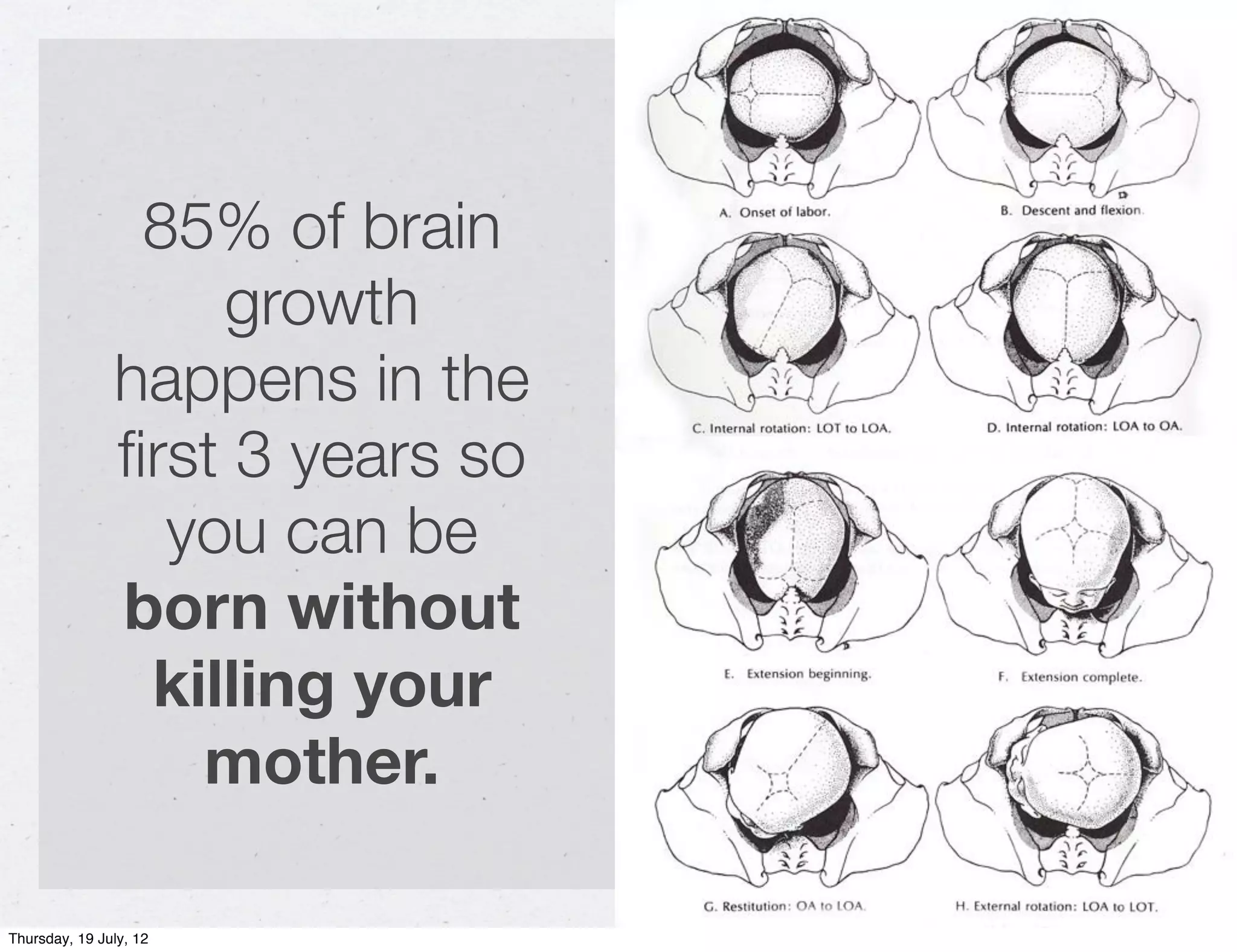 85% of brain
                   growth
               happens in the
               ﬁrst 3 years so
                 you can be
               born without
                killing your
                  mother.

Thursday, 19 July, 12
 