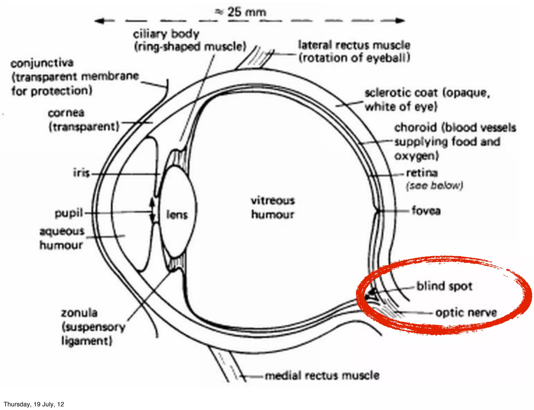 Thursday, 19 July, 12
 