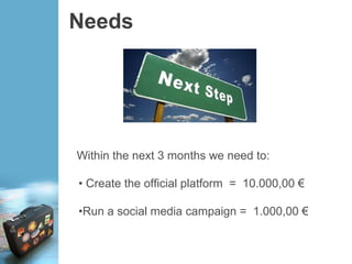 Needs
Within the next 3 months we need to:
• Create the official platform = 10.000,00 €
•Run a social media campaign = 1.000,00 €
 