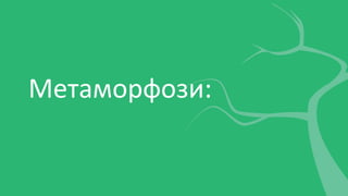 Метаморфози:
 