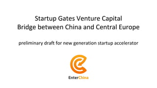 Startup Gates Venture Capital
Bridge between China and Central Europe
preliminary draft for new generation startup accelerator
 