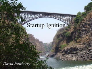 Startup Ignition
David Newberry
 