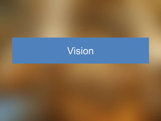 Vision
 